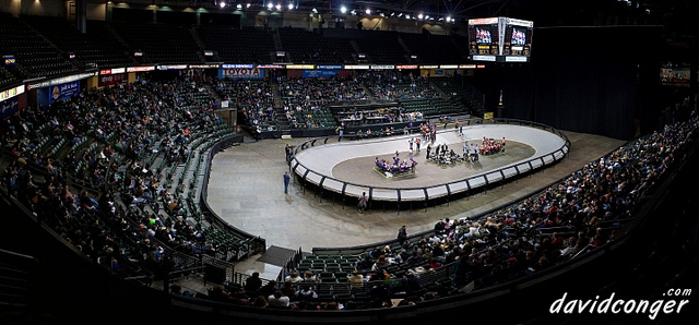 Tilted Thunder Rail Birds at Comcast Arena