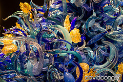Chihuly Garden and Glass