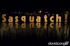 Sasquatch Music Festival 2013