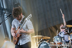 Foals