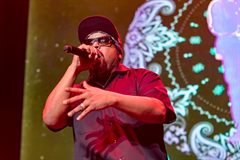 Ice Cube