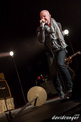 The Fray