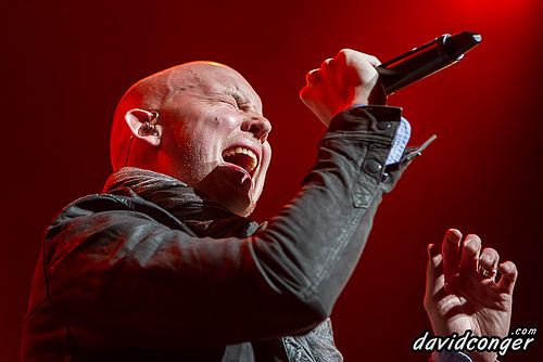 The Fray