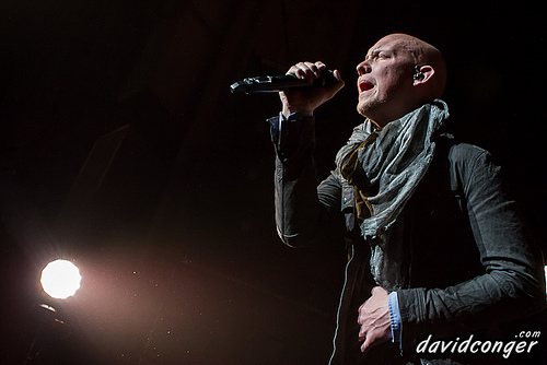 The Fray