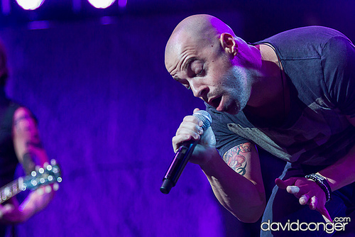 Daughtry