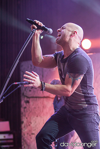 Daughtry