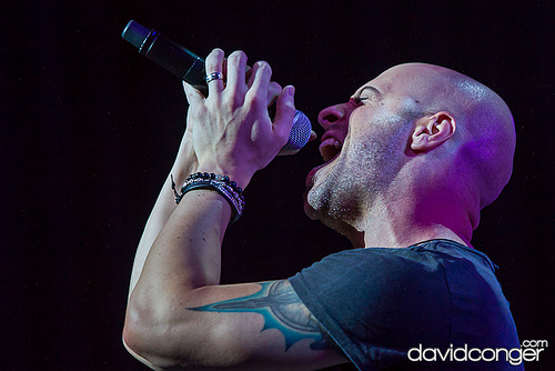 Daughtry