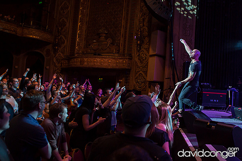 Daughtry