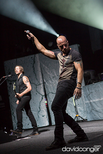 Daughtry
