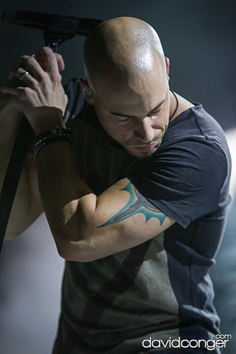 Daughtry