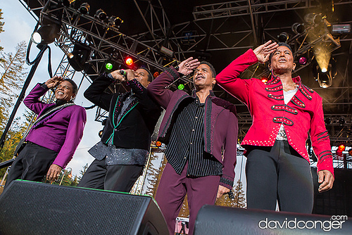 The Jacksons