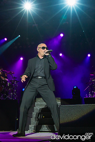 Pitbull