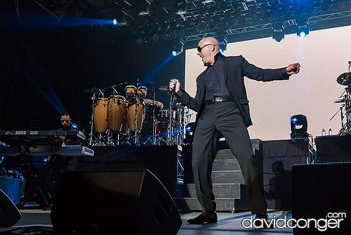 Pitbull