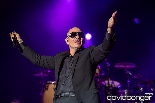 Pitbull