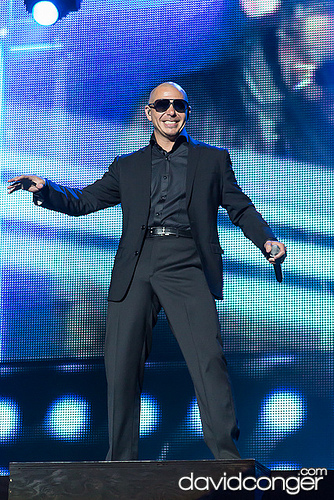 Pitbull