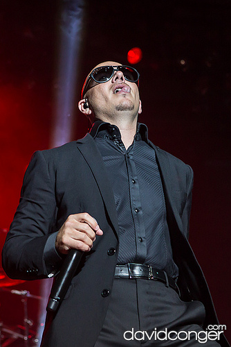 Pitbull