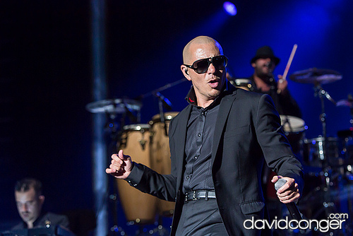 Pitbull