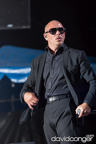 Pitbull