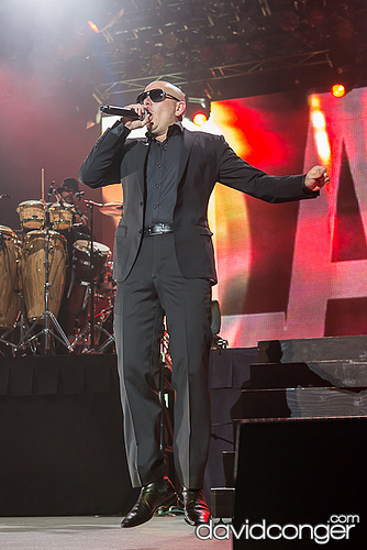 Pitbull