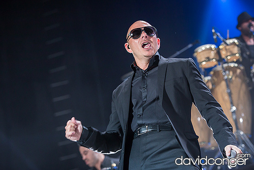 Pitbull