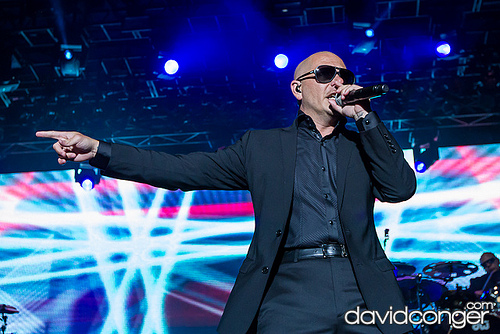 Pitbull