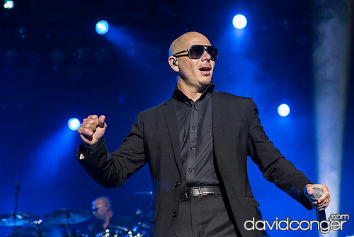 Pitbull