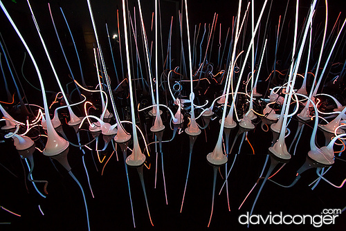 Chihuly Garden and Glass