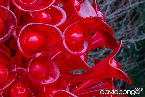 Chihuly Garden and Glass