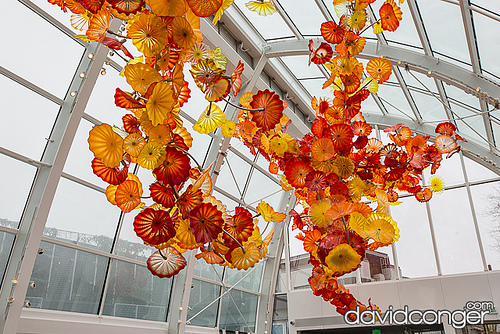 Chihuly Garden and Glass