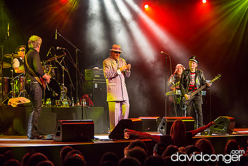 The Tubes