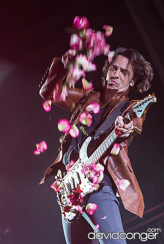 Rick Springfield