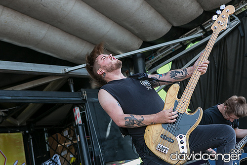 While She Sleeps
