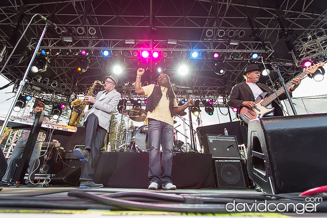 Average White Band