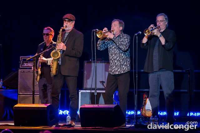 Jim Belushi and the Sacred Hearts