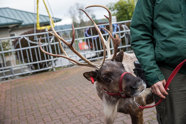 Breakfast with Santa